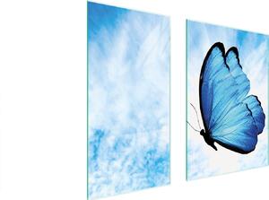 Piastre copri fornelli 2 pezzi 75x52 Copri piano cottura in Vetroceramica tagliere in vetro farfalla blu