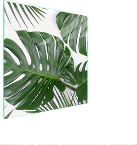 Piastra Di Protezione In Vetrina Per Levi 50X52 Monstera
