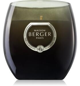 Maison Berger Paris Holly Amber Powder candela profumata 200 g