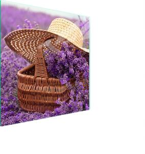 Piastra Di Protezione In Vetrina Per Levi 50X52 Lavendel
