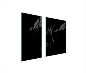 Piastre copri fornelli 2 pezzi 75x52 Vetroceramica copri piano cottura vetro tagliere cane nero