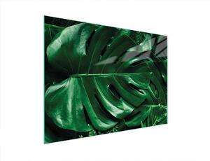 Tagliere in vetro 40x30 MONSTERA