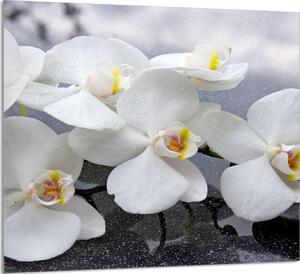 PIATTO DI VETRO PER CUCINA 65x60 Orchidea
