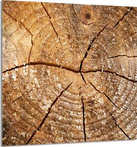 PIATTO IN VETRO PER CUCINA 60x65 legno