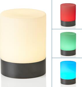 Northpoint Lampada da tavolo ricaricabile nero opaco bianco caldo