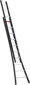 Scala a sfilo Altrex Nevada, 2x10 pioli