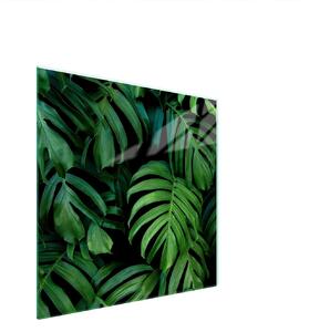 Piastra Di Protezione In Vetrina Per Levi 50X52 Monstera