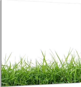 PIATTO IN VETRO PER CUCINA 60x65 Bianco
