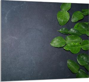 PIATTO IN VETRO PER CUCINA 65x60 ardesia