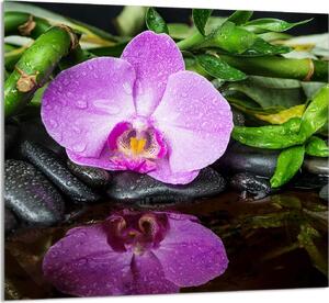 PIATTO DI VETRO PER CUCINA 65x60 Orchidea