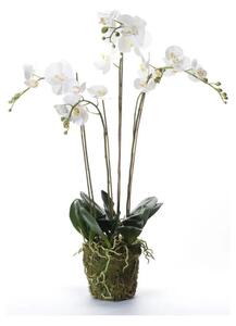 Piante artificiali Emerald orchidea artificiale