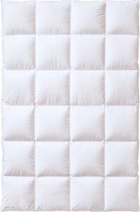 Piumino Kauffmann Elegance 700, 155x220 cm, caldo