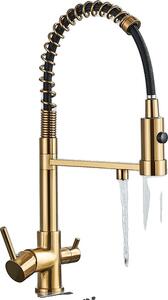 Rubinetto da cucina estraibile, design a doppia maniglia, rotazione di 360 gradi, finitura oro spazzolato