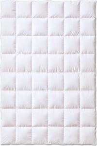 Piumino Kauffmann Superior 135x200 cm, media