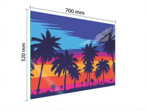 Piastra Di Protezione In Vetrina Per Le Palme 70X52