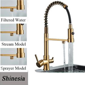 Miscelatore da cucina filtrato, doppia bocca girevole, design contemporaneo, oro spazzolato