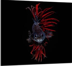 PIATTO IN VETRO PER CUCINA 65x60 Pesce