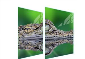 Piastra Di Protezione In Vetrina Per L'erba 70X52 Crocodil