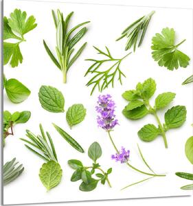 PIATTO IN VETRO PER CUCINA 60x65 Piante