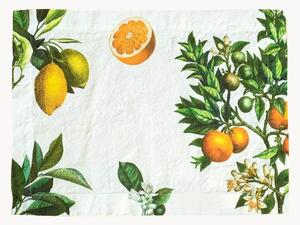 Set di 2 tovagliette americane in lino Citruses
