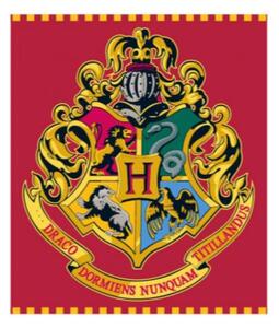 Coperta Harry Potter HP 52 48 128
