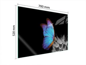 Piastra Di Protezione In Vetrina Per L'erda 70X52 Butterfly