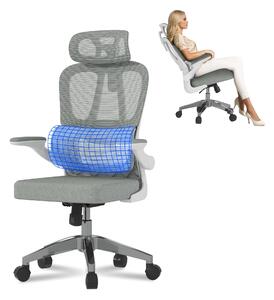 Sedia da ufficio ergonomica FLEXISPOT 2D poggiatesta, supporto lombare adattivo, schienale regolabile, tessuto a rete traspirante, regolabile in altezza, grigio
