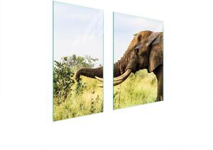 Piastre copri fornelli 2 pezzi 75x52 Vetroceramica copri piano cottura tagliere in vetro elefante animale