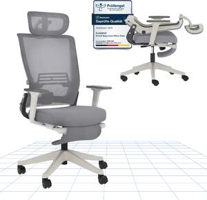 FLEXISPOT Foldex Sedia da ufficio ergonomica, sedia da ufficio pieghevole per piccoli spazi con supporto lombare Braccioli regolabili in altezza con poggiapiedi Grigio