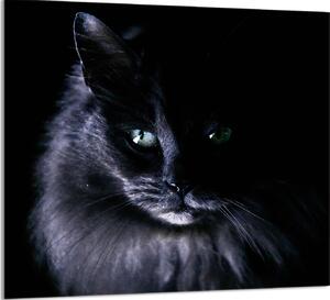 PIATTO IN VETRO PER CUCINA 65x60 Cat