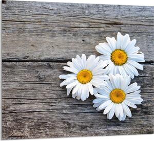 PIASTRELLE IN VETRO PER CUCINA 65x60 Daisy
