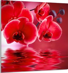 PIATTO IN VETRO PER CUCINA 60x65 Orchidea