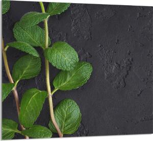 PIATTO IN VETRO PER CUCINA 65x60 Menta