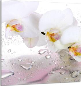 PIATTO IN VETRO PER CUCINA 60x65 Orchidea