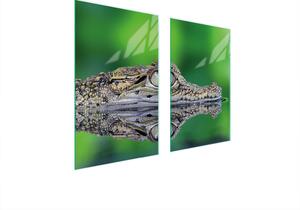 Piastre copri fornelli 2 pezzi 75x52 Copri piano cottura in Vetroceramica tagliere in vetro Aligator verde