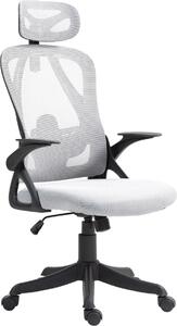 Sedia ergonomica per ufficio - Sedia da ufficio - Eccezionale comfort di seduta, supporto lombare regolabile | Colore: Grigio
