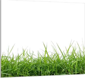 PIATTO IN VETRO PER CUCINA 65x60 Bianco