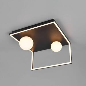 Trio Lighting Plafoniera soffitto Arola, dimmerabile, Nero, Soggiorno / Sala da pranzo, Metallo, Moderno, Plafoniera