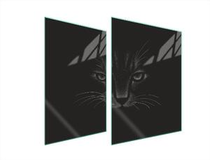 Piastra Di Protezione In Vetrina Per Levatori 70X52 Cat