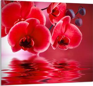 PIATTO DI VETRO PER CUCINA 65x60 Orchidea