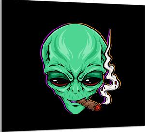 Piatto In Vetro Per Cucina 65X60 Ufo