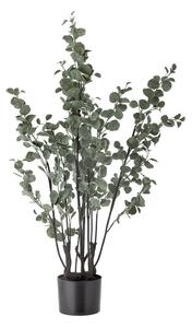 Eucalipto artificiale (altezza 117 cm) - Bloomingville