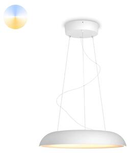Philips Hue White Amb. Amaze lampada a sospensione bianca 3000lm DS