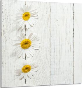 PIATTO IN VETRO PER CUCINA 60x65 legno