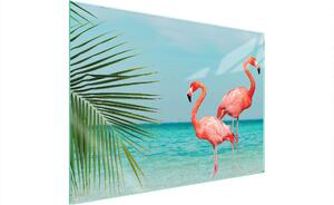 Piastra Di Protezione Del Vetro Per Stufa 70X52 Flamingo