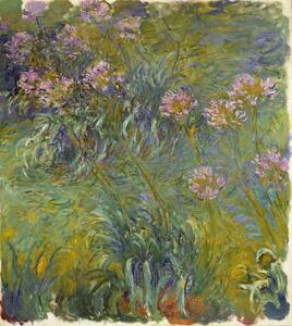 Claude Monet - Stampa artistica Agapanthus 1914-26, (35 x 40 cm)