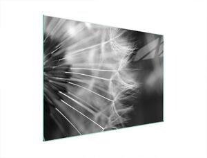Piastra Di Protezione In Vetrina Per Levi 70X52 Blume