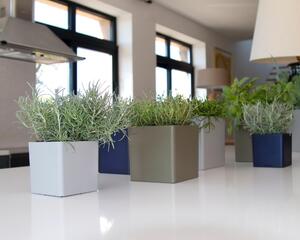 Vaso per piante e fiori Cubo ARTEVASI in plastica colore tortora H 10.5 cm, L 10.5 x P 10.5 cm