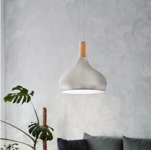 Eglo 901181-Lampadario a sospensione con filo SABINAR 1xE27/60W/230V pr.28cm argento-FSC certifik