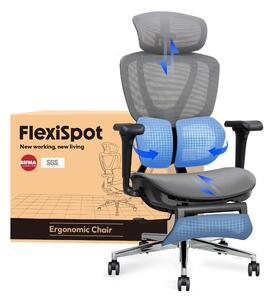 FLEXISPOT Sentinel: sedia da ufficio ergonomica con supporto lombare Dual-Wing, poggiatesta e braccioli 3D, poggiapiedi e profondità della seduta regolabile (grigio)